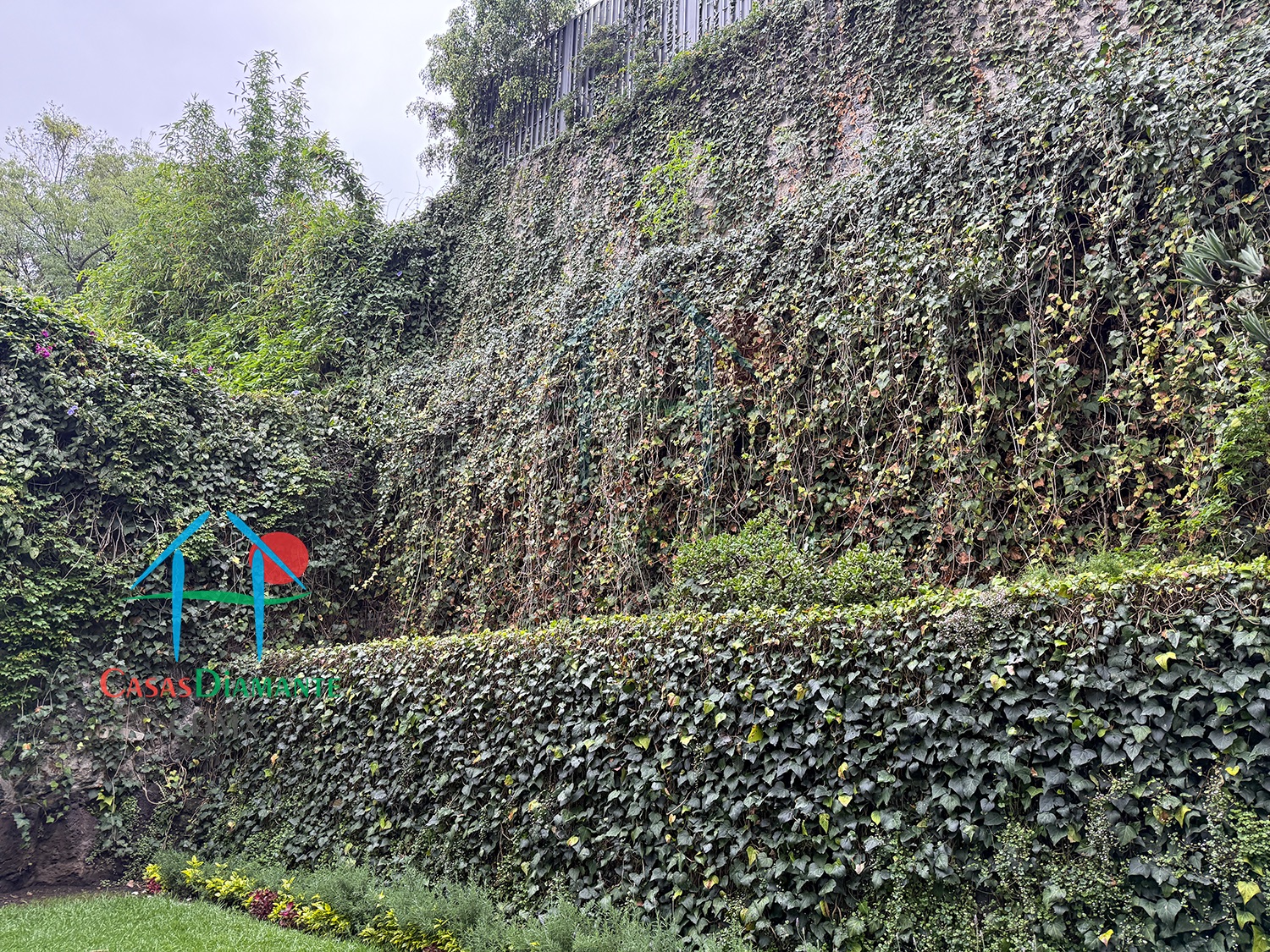 Jardines del Pedregal Casa Rivera EJ - Jardín 11